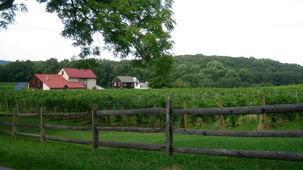 architecture-framed farmers