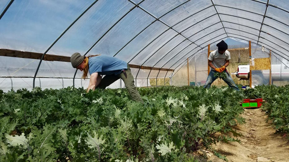 sustainable farming methods